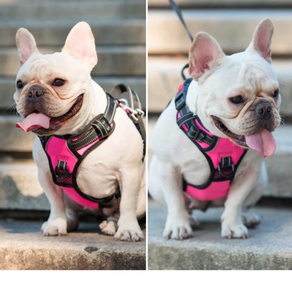 No more pulling hardness for small dog , soft padded handle
